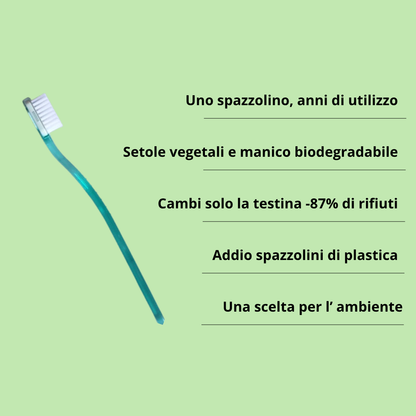 spazzolino-denti-iwanteco