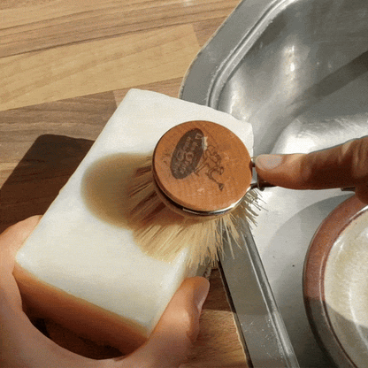 Sapone Piatti Solido Formato Risparmio